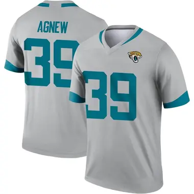 Men's Nike Jacksonville Jaguars Jamal Agnew Silver Inverted Jersey - Legend